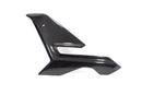 Ilmberger - Side Fairing for M 1000 R