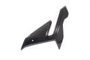 Ilmberger - Side Fairing for M 1000 R