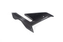Ilmberger - Side Fairing for M 1000 R
