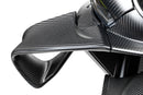 Ilmberger - Racing Winglet for M 1000 RR 2025