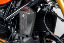 Ilmberger - Oil Cooler Cover for BMW R 12 nineT