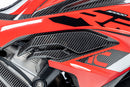 Ilmberger - Carbon Air Outlet – for S 1000 RR from 2023