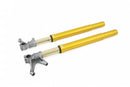 ÖHLINS -  Hypersport Superbike Fork (FGR 250)