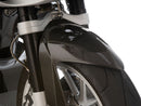 Ilmberger - Mudguard for R 1200 S