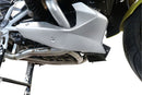 GPR Exhaust - Decatalizzatore Decat System for BMW R 1250 R RS - 2019 to 2020