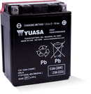 Yuasa - AGM Battery Maintenance Free High Performance (YTX14AHL-BS)