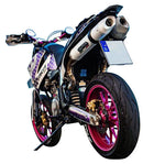 GPR-Exhaust---Albus-Ceramic-Double-Slip-on-for-DUKE-II-from-2000-to-2006-dB-Killer-Link-Pipes