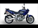 GPR-Exhaust---Furore-Nero-Double-Slip-on-for-GRAN-Canyon-from-1998-to-2000-dB-Killer-Link-Pipes