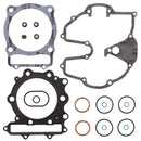 VertexWinderosa - Top End Gasket (810281)