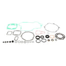 VertexWinderosa - Complete Gasket Set with Oil Seals - 811 (811425)