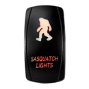 QuakeLED - Sasquatch LED Switch
