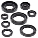 VertexWinderosa - Oil Seal Sets (822173)