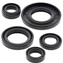 VertexWinderosa - Oil Seal Sets (822240)