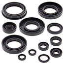 VertexWinderosa - Oil Seal Sets (822252)