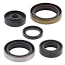 VertexWinderosa - Oil Seal Sets (822347)