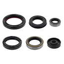 VertexWinderosa - Oil Seal Sets (822995)